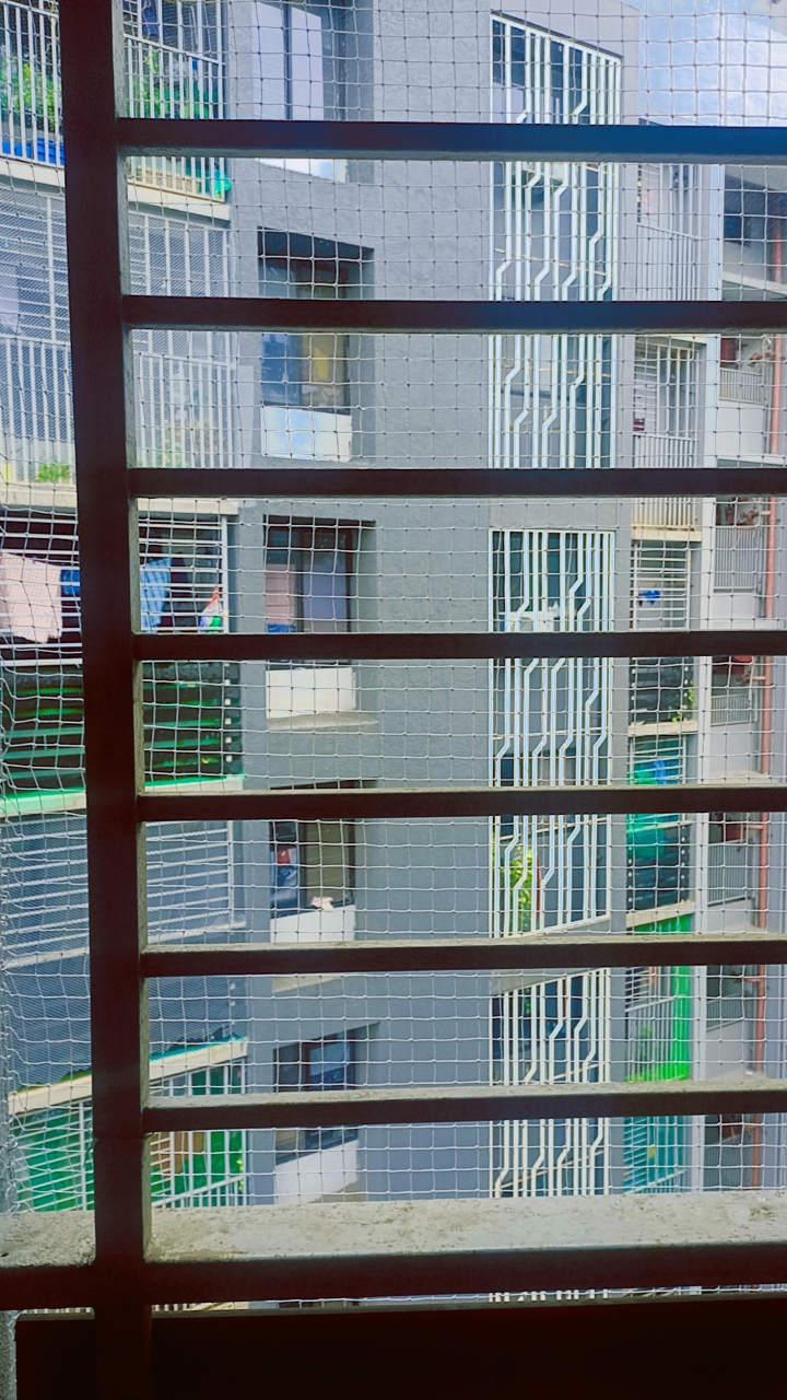 Pigeon Net Installation for Apartment Societies by AS Enterprises